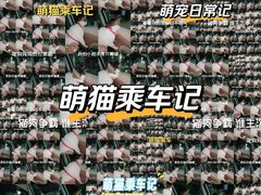 -深圳野生动物园