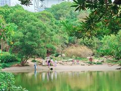 -深圳国际园林花卉博览园