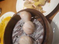 -頂好酒家·经典粤菜(海信广场店)