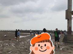 -南汇嘴观海公园