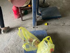 -马陆小张葡萄园农家乐