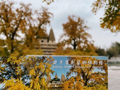 -北京石刻艺术博物馆(五塔寺)