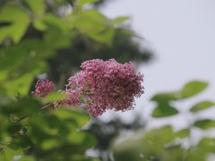 -双秀公园