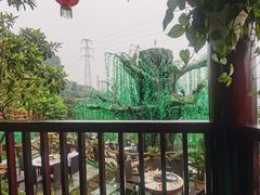 -枇杷园食为鲜火锅(南山店)