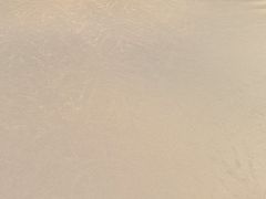 -东江海辉酒楼·公司团建·商务宴请·生日宴(宝安店)
