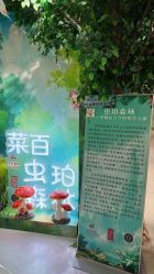 -菜百首饰店(总店)