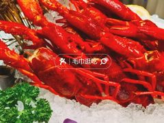 -洪福龙虾