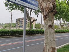 -扬州市茱萸湾风景区