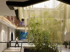 -绿杨春·淮扬宴(庐山路店)