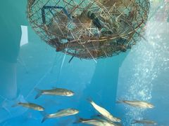 -SHRIMP CLUB万东餐饮钓虾·清吧