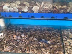 -港畔赶海蒸汽海鲜烧烤自助(仙螺岛店)