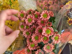 -溪岸路花鸟市场