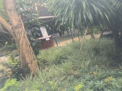 -碧水湾温泉