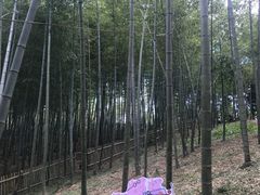 -宁波浙东大竹海景区