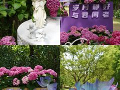 -上海滨江森林公园