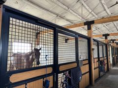 -北京群众马术培训基地