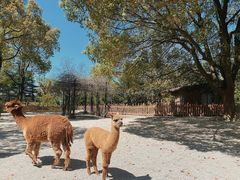 -上海野生动物园