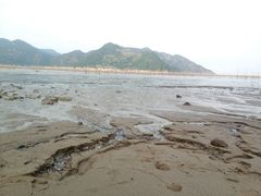 -北岐滩涂