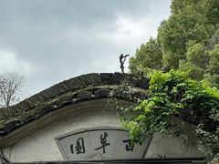 -绍兴鲁迅故里·沈园景区
