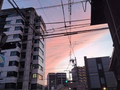 -面屋 猪一
