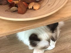 -iF摄影•全家福•证件照•形象照(南山店)