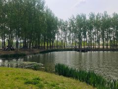 -东郊湿地公园