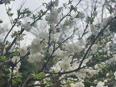 -月湖风景区