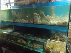 -东海章鱼馆(恒瑞街店)