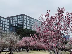 -北京明城墙遗址公园