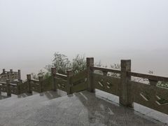 -洋山深水港