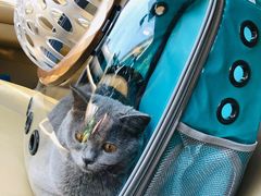 -瑞鹏宠物医院·爱宠堂·骨外专科(西荷分院)