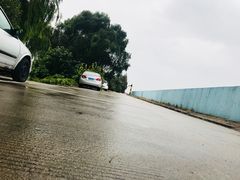 -瀛洲公园