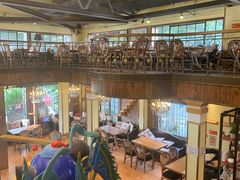 -more than meow吴止猫主题餐厅(承德 中船汇店)