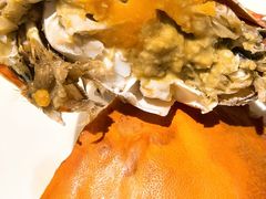 -北塘海鲜·天津菜·鲅鱼水饺是一绝(大光明桥旗舰店)