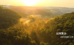 -东方美美容SPA会所