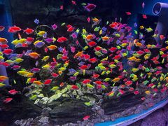 -威海华夏城景区