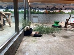 -西安秦岭野生动物园