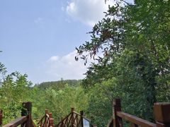 -辽宁团山国家级海洋公园