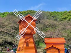 -苏州上方山国家森林公园