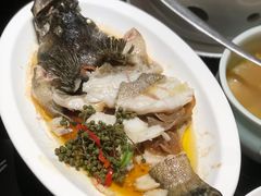 青花椒蒸龙胆鱼-闽和南(深圳万象城店)