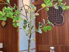-六六·抹茶66’s SALDessert(保利时光里店)