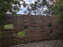 -华侨城湿地公园