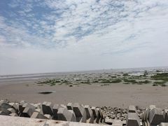 -奉贤海滩