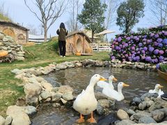 -HERRE·FARM 赫尔露营农场·团建聚会包场