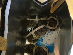 -阳澄湖大闸蟹·琼灵阁牌品牌连锁(吴中总店)