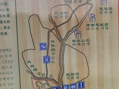 -帽儿山国家森林公园