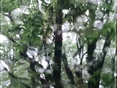 -天燕原始生态旅游区-天门垭景区