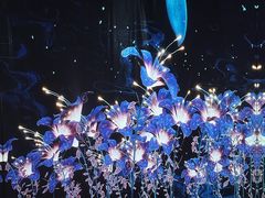 -凤凰徐州书城(淮海西路店)