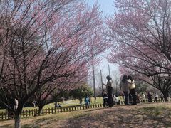 -习家池
