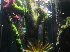 -泰悠谷养生SPA(世茂商业街店)